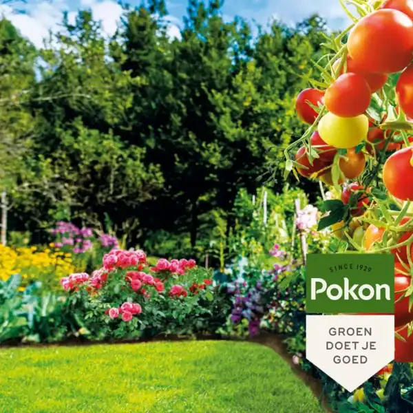Pokon Bio Lavameel Pokon Bio Lavameel
