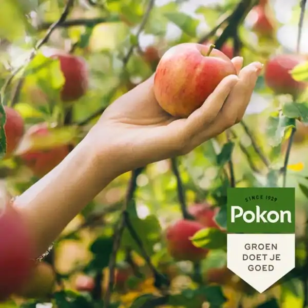 Pokon Bio Fruitbomen Mest Pokon Bio Fruitbomen Mest