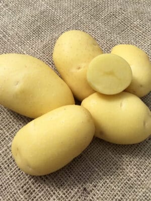 Pootaardappel Vitabella Bio Pootaardappel Vitabella Bio