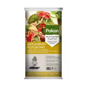Pokon Bio Anthurium Potgrond Turfvrij 5L